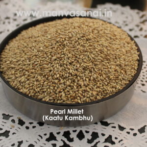 Native Pearl Millet Seeds (Kaatu Kambhu)