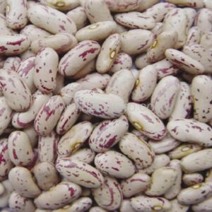 African Red Speckled Sugar Beans Seeds