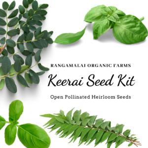 Essential Micro Greens (Keerai) Seed Kit – Pack of 19 varieties