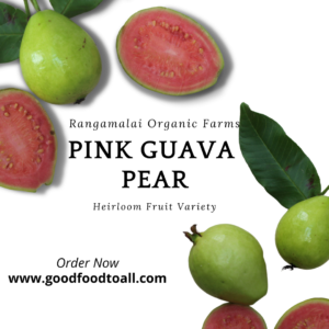 Native Pink Guava Seeds (Pear)