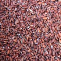 Karung Kuruvai Rice (Unpolished),1KG