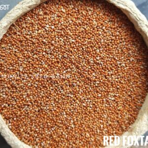 Native Red Foxtail Millet Seeds (Senthinai)