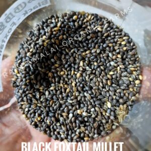 Foxtail Millet (Sadai Thinnai) Seeds