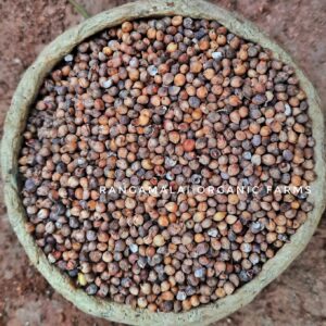 Yellow Sorghum / Manja Makkatta Cholam Seeds, 500g