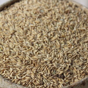 Thooyamalli Paddy Seeds -(White Rice)