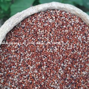 Native Raagi Seeds (Finger Millet)