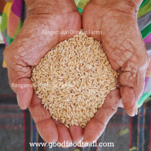 Vaasanai Seeraga Samba Paddy (Aromatic) Seeds