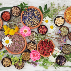 Medicinal Herb Seeds