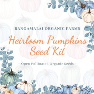 Heirloom Pumpkins Seed Kit  – Pack of 6 varieties