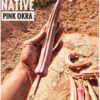 Pink Long Tree Okra Seeds - Image 2