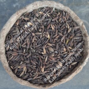 Kala Namak Paddy Seeds