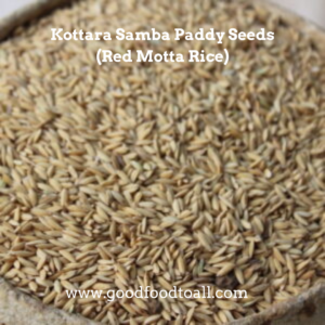 Kottara Samba Paddy Seeds (Red Rice)