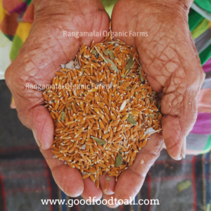 Rakthashali Red Paddy Seeds