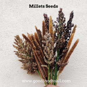 Millet Seeds