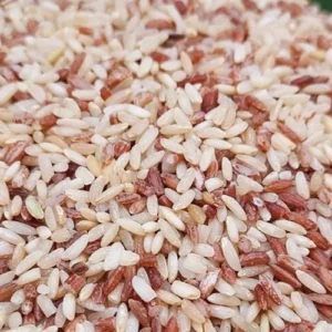 Paddy Seeds – Rajamudi Rice Mixed, 500g