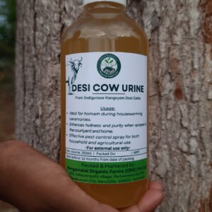 Desi Cow Urine / Gomuthram (Kangeyam Cattle Breed)