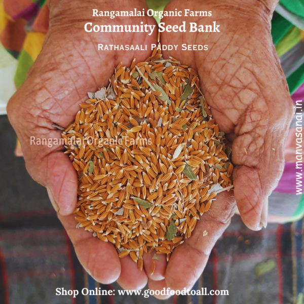 Rathasaali Paddy seed is traditional native paddy variety of Kerala.