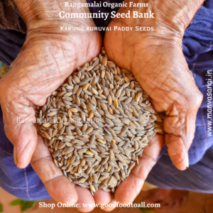 Karung kuruvai Paddy seed is traditional native paddy variety of Tamil Nadu.