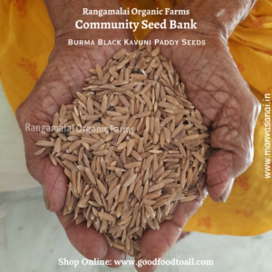 Burma Karuppu Kavuni Paddy Seeds – Black Rice