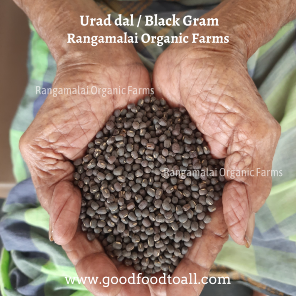 Native Urad Dal Seeds | 500g
