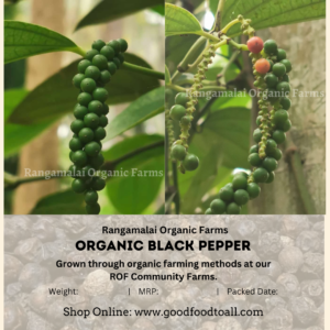 100% Pure Organic Black Pepper, 100g