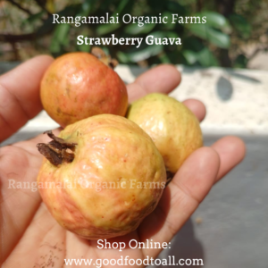 Strawberry Guava Seeds