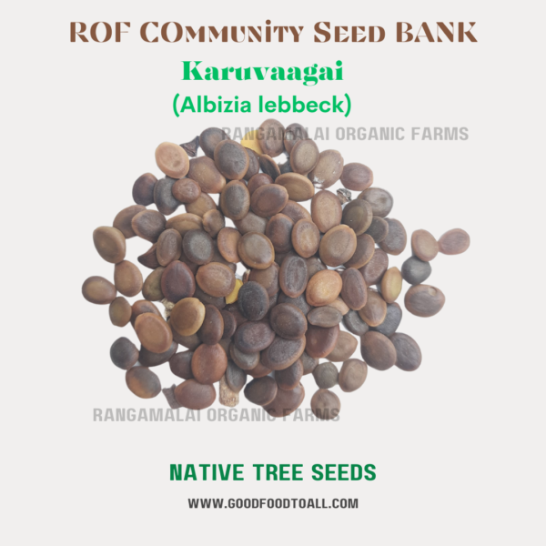 Karuvaagai Tree Seeds