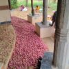 Organic Small Onion | Sambar Onions | 20KG - Farmer Fixed Price - Image 2